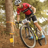 Seb Herrod profile