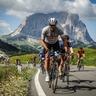 Berend  Veneklaas  profile