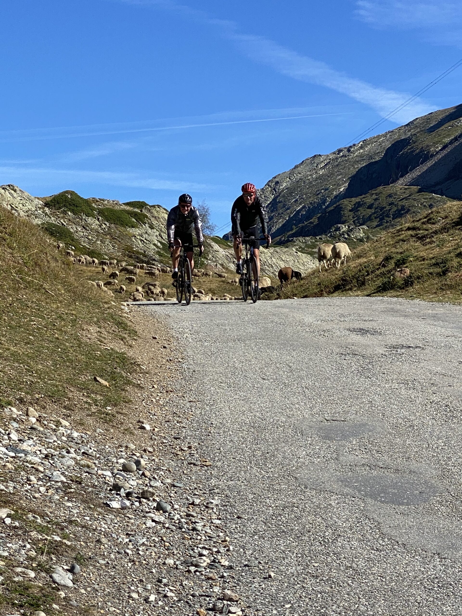 col de la cayolle cycling