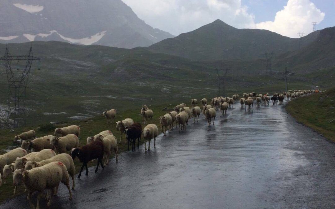 Col des Tentes (2,207)