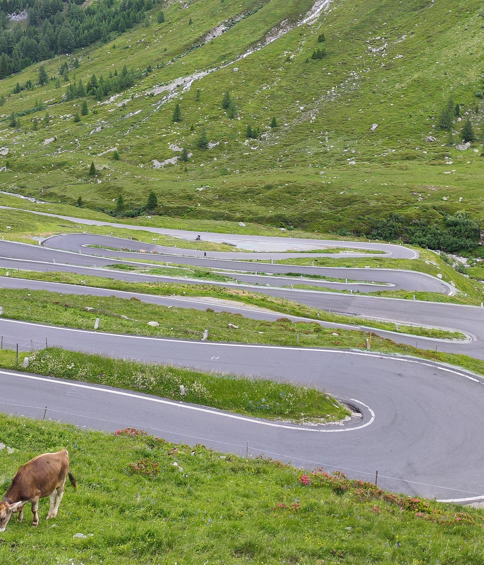 col de la cayolle cycling