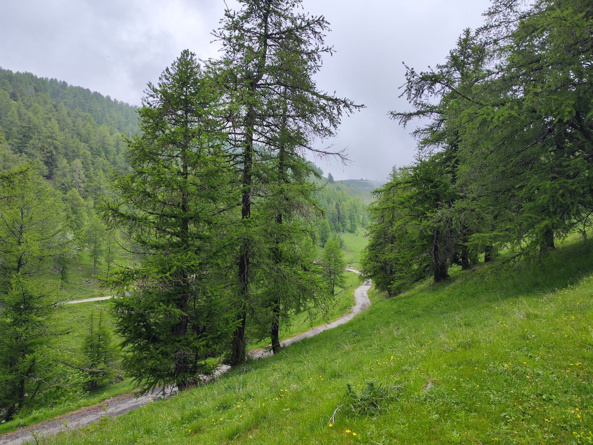 col de la cayolle cycling