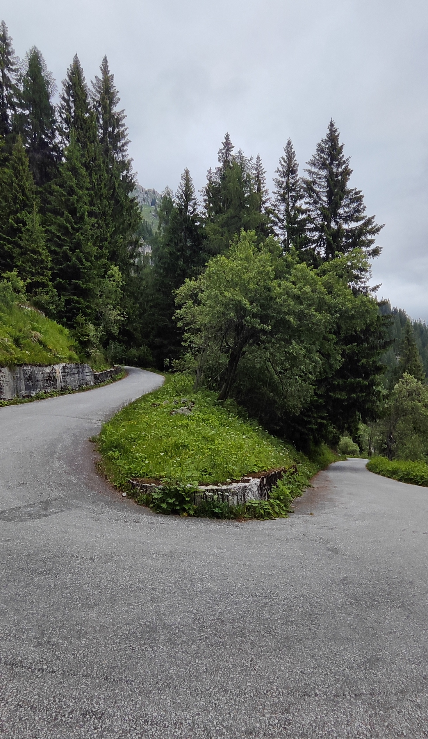 col de la cayolle cycling